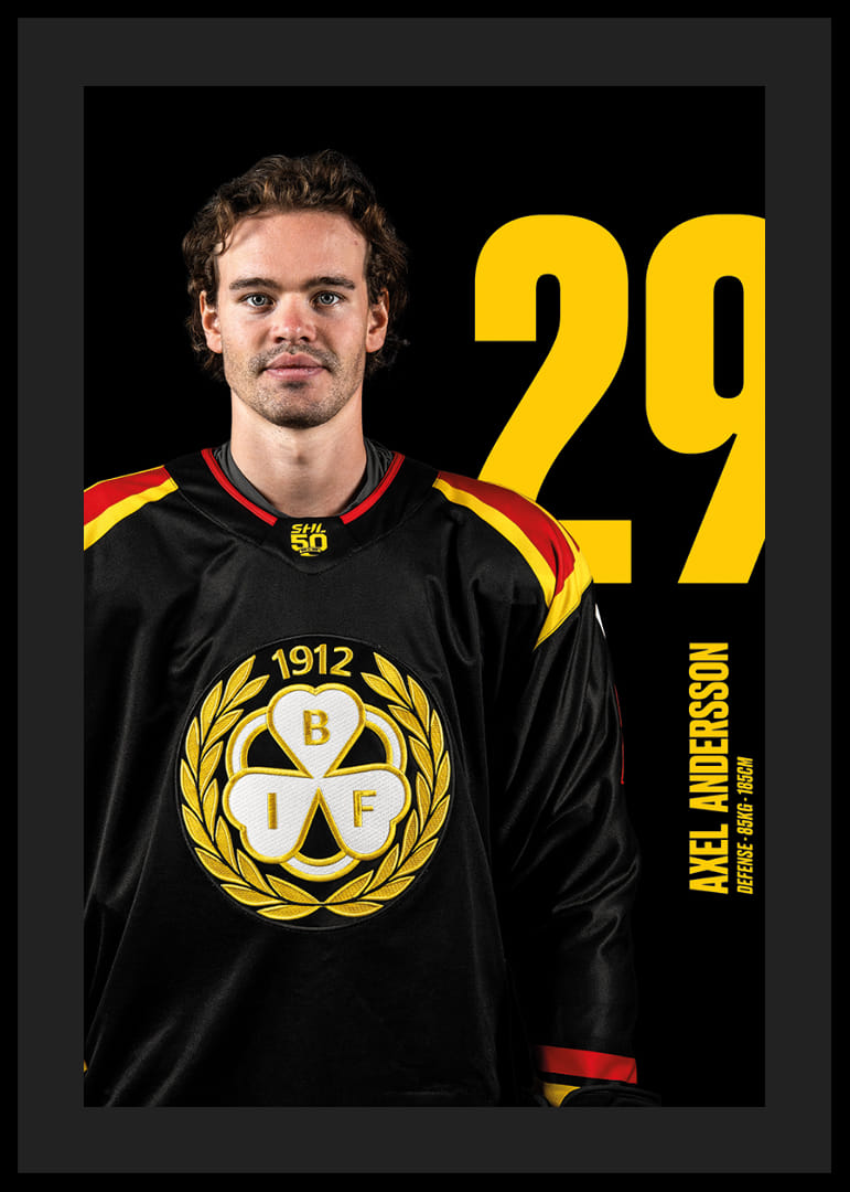 Axel Andersson #29 Brynäs IF 2025/2026-12