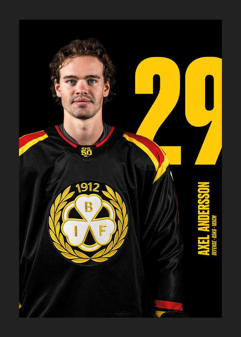 Axel Andersson #29 Brynäs IF 2025/2026-12