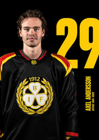 Axel Andersson #29 Brynäs IF 2025/2026-3