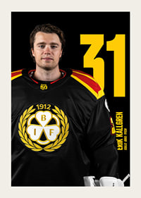 Erik Källgren #31 Brynäs IF 2025/2026-3