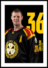 Linus Ölund #36 Brynäs IF 2025/2026-0