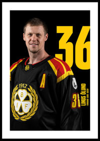 Linus Ölund #36 Brynäs IF 2025/2026-0