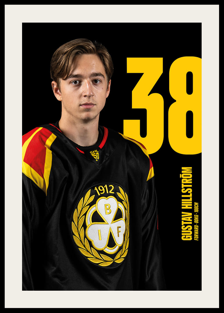 Gustav Hillström #38 Brynäs IF 2025/2026-12