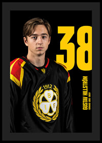 Gustav Hillström #38 Brynäs IF 2025/2026-4