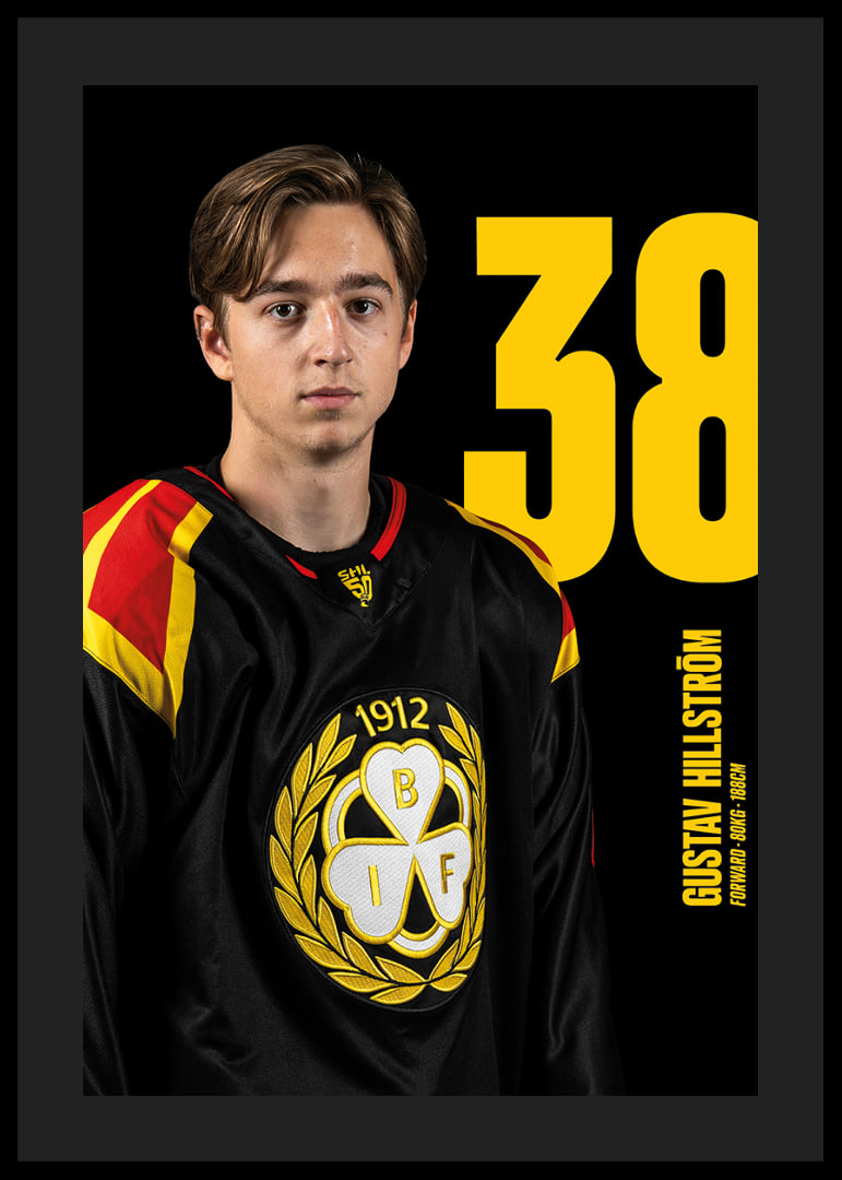 Gustav Hillström #38 Brynäs IF 2025/2026-12