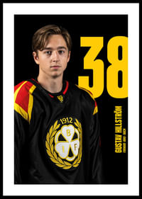 Gustav Hillström #38 Brynäs IF 2025/2026-0