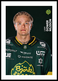 Liam Dower Nilsson #19 Björklöven 2025/2026-0