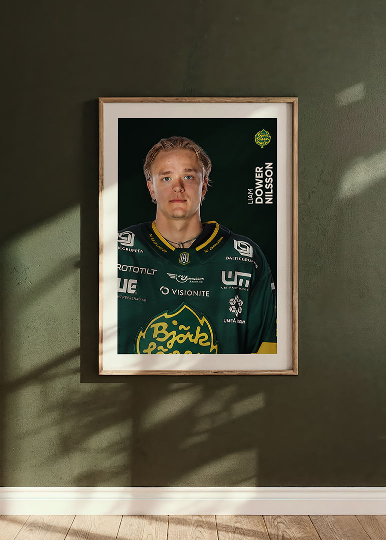Liam Dower Nilsson #19 Björklöven 2025/2026-12