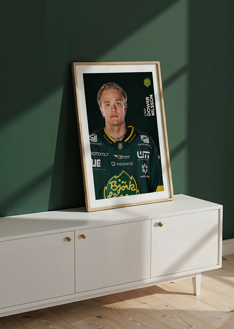 Liam Dower Nilsson #19 Björklöven 2025/2026-12