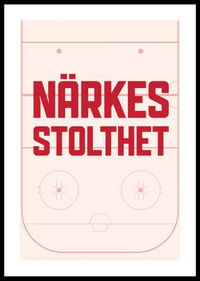 Närkes Stolthet Örebro No1-0