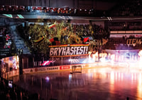 Tifo No15 Brynäs-9