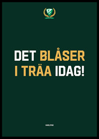 Det Blåser I Träa Idag Färjestad BK-6