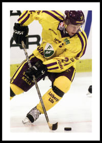 Jörgen Jönsson Färjestad BK Mot Malmö-0