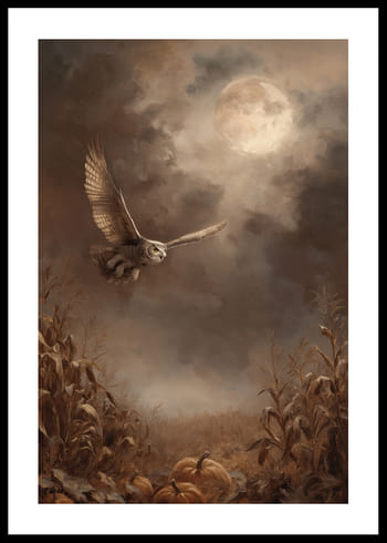 Affiche Moonlit Flight