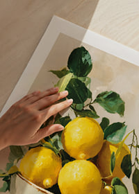 Des citrons ensoleillés égayent un bol rustique-9