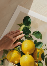 Os limões ensolarados dão um toque de cor a uma tigela rústica.-5