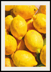 Solarizing lemons spread life and energy-2