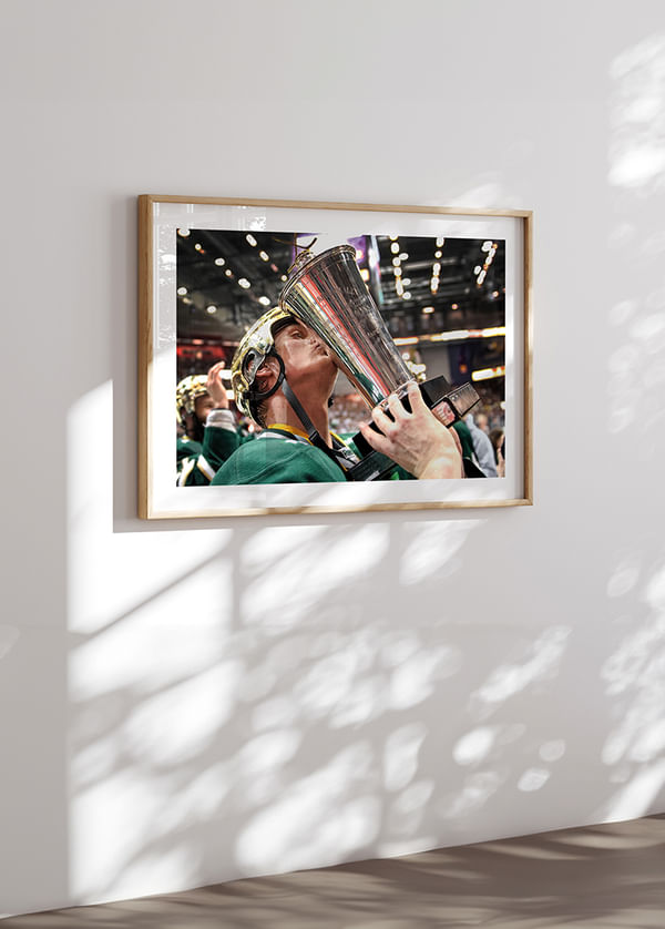 Poster SM-Guld Färjestad BK 2011 No6 crossfade