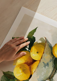 A fresh tribute to the beauty of citrus and the colors of life-9