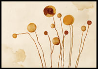 Elegante bruine bloemen dansen tegen een warme achtergrond-2