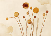 Elegante bruine bloemen dansen tegen een warme achtergrond-3