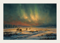 Magiskt norrsken över en vintrig älv i skogens öde-3