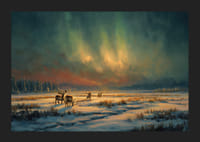 Magiskt norrsken över en vintrig älv i skogens öde-5