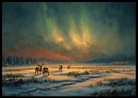 Magical northern lights over a wintry river in the wilderness of the forest-6
