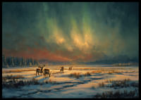 Magiczna zorza polarna nad zimową rzeką na pustkowiu lasu-2