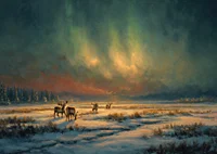 Magical northern lights over a wintry river in the wilderness of the forest-7