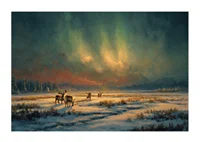 Magical northern lights over a wintry river in the wilderness of the forest-1