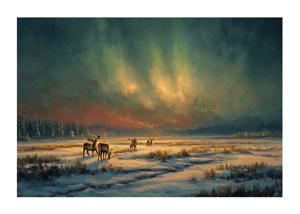 Poster Winter Wilderness