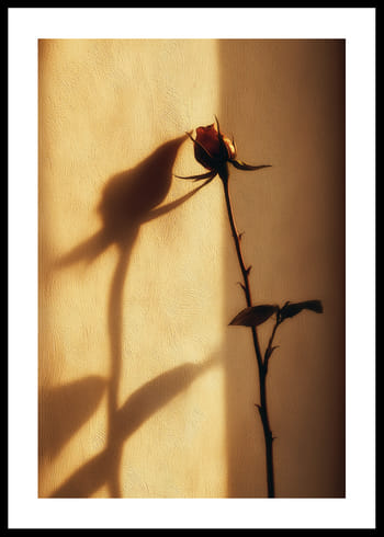 Poster Sunlit Solitude