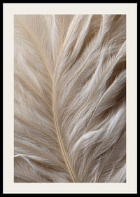 Soft feathers sweep in a dreamy composition-2