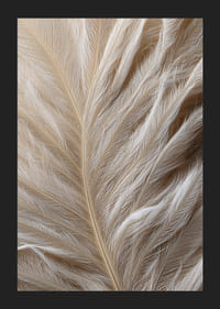 Soft feathers sweep in a dreamy composition-5