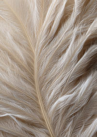 Plumas suaves se deslizan en una composición de ensueño-3