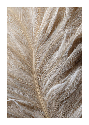 Poster Feathers Dreamscape