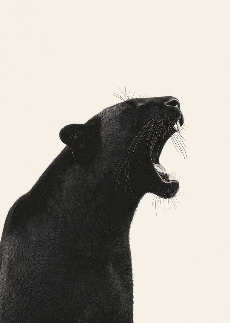 Pantera negra ruge con fuerza y ​​elegancia sobre fondo claro-12