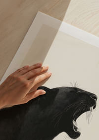 Pantera negra ruge con fuerza y ​​elegancia sobre fondo claro-5