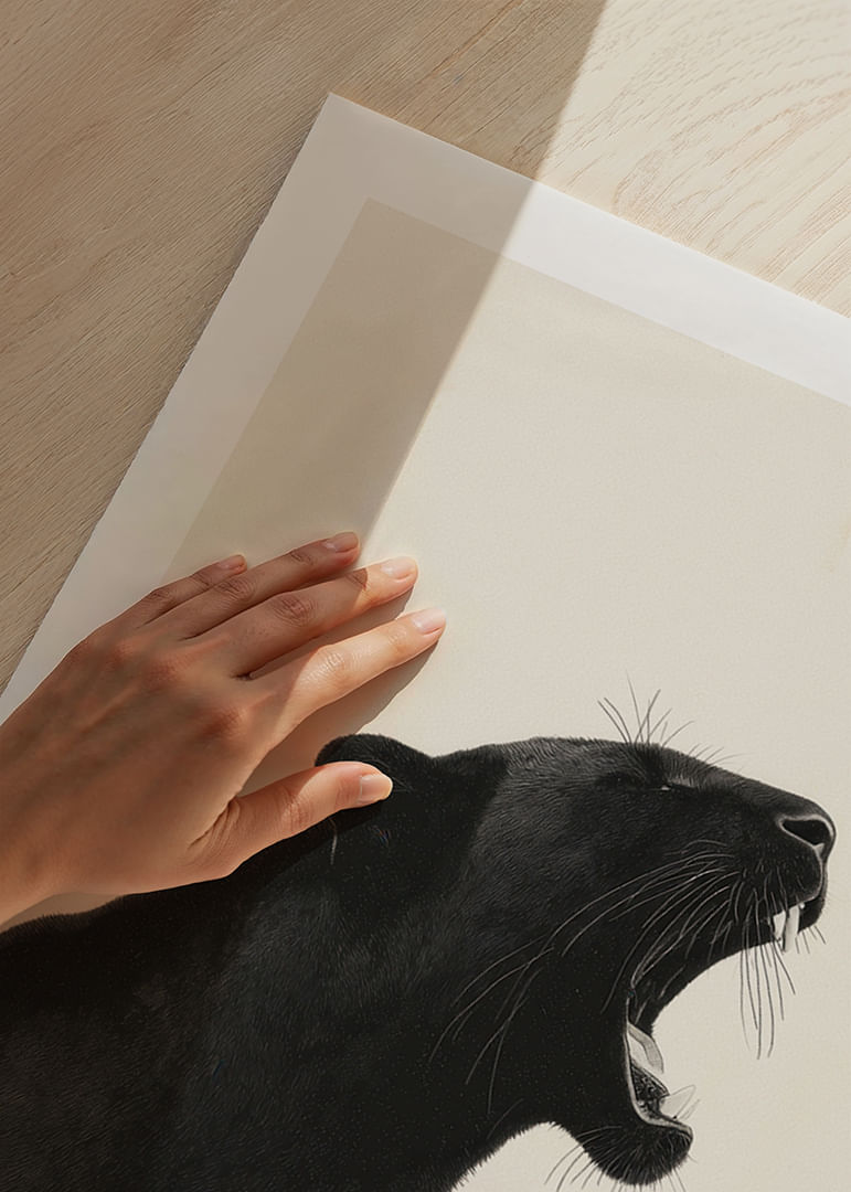 Pantera negra ruge con fuerza y ​​elegancia sobre fondo claro-12