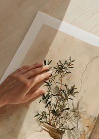 Un pot baigné de soleil crée une élégance intemporelle sur le mur.-5