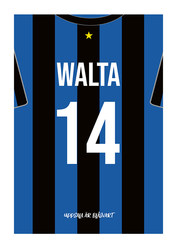 Poster Leo Walta #14