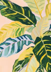 Feuilles colorées dans une harmonie tropicale sur fond rose-3