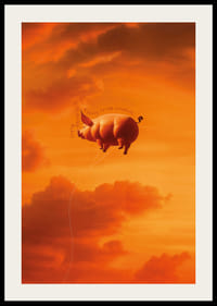Pig floating towards sunset in dream landscape-2