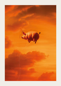 Pig floating towards sunset in dream landscape-3