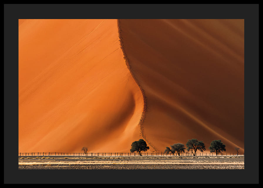 En majestätisk ökendyna möter horisonten med dramatik-12