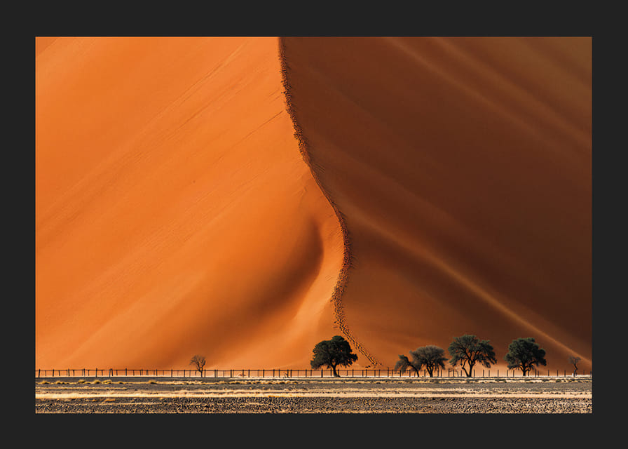 En majestätisk ökendyna möter horisonten med dramatik-12