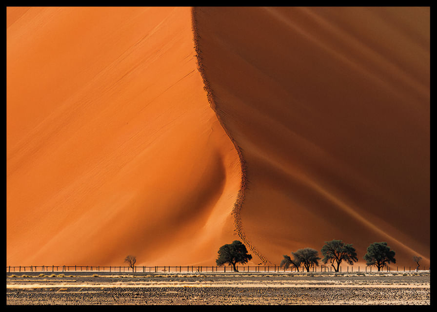 Une majestueuse dune du désert se fond dans l'horizon avec un effet dramatique.-12