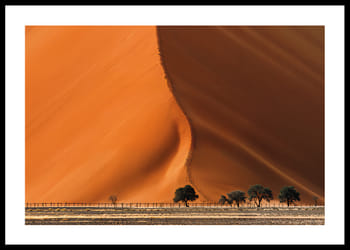 Poster Whispers Of The Dune