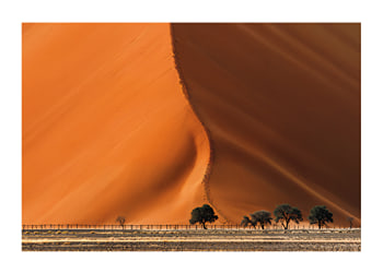 Poster Whispers Of The Dune